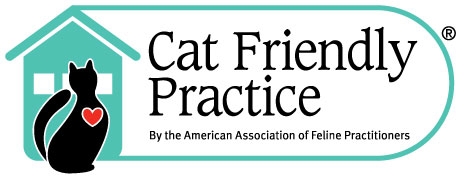 cat friendly clinic
